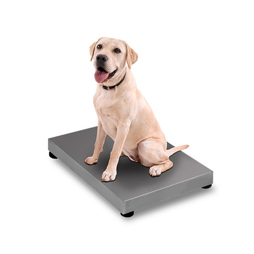Plataforma Veterinaria 200 Kg BAVET-200